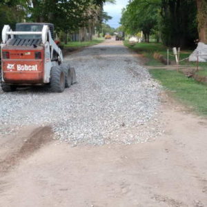 Parte de actividades 01/11