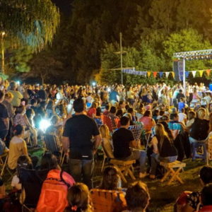 Con un exitoso picnic nocturno los venadenses festejaron su carnaval