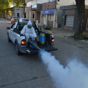 El municipio desplegó operativo para disminuir plagas de mosquitos y prevenir dengue
