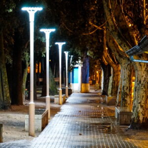 El gobierno local impulsa acciones para avanzar con la instalación de luces led en el Parque Municipal