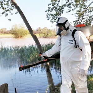 El gobierno municipal lanzó una nueva campaña de control de mosquitos El gobierno municipal lanzó una nueva campaña de control de mosquitos