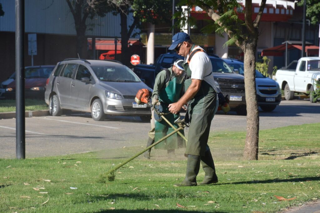 El Gobierno municipal refuerza servicios para tener una ciudad más limpia y ordenada
