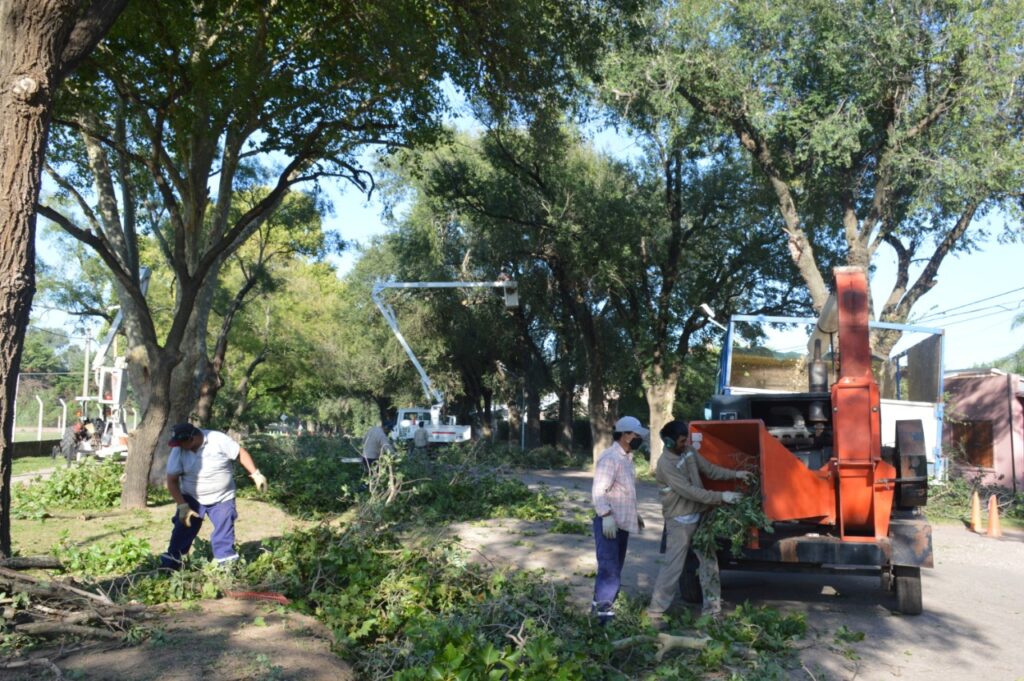 El Municipio sigue adelante con los trabajos de recolección de residuos mayores y verdes