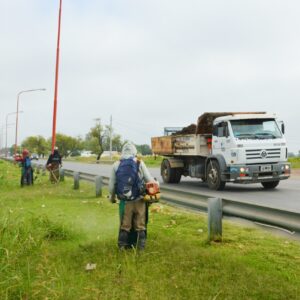 Ante la falta de accionar de Vialidad Nacional, el Municipio realiza tareas de corte de pasto en rutas nacionales 8 y 33