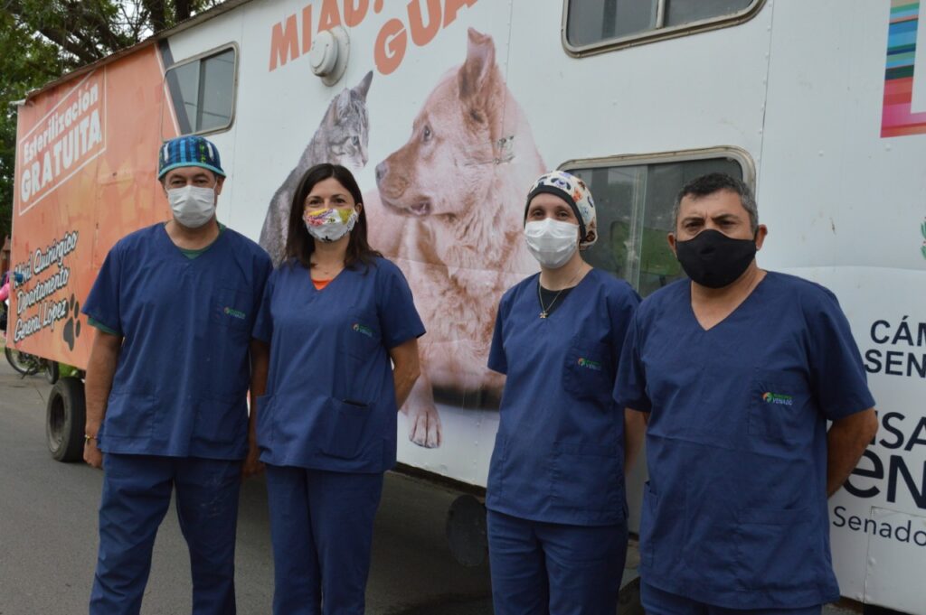 Retorna el programa “Orejas Verdes” con castraciones y vacunación antirrábica en la zona sur