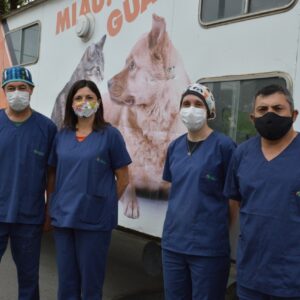 Retorna el programa “Orejas Verdes” con castraciones y vacunación antirrábica en la zona sur Retorna el programa “Orejas Verdes” con castraciones y vacunación antirrábica en la zona sur