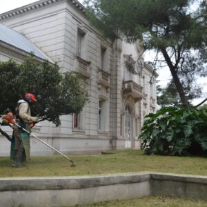 Ayuda a los colegios: el Municipio implementa un operativo especial de corte de pastos en escuelas de la ciudad
