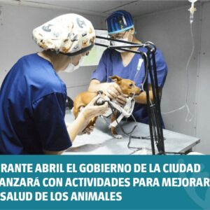 Durante abril el Gobierno de la Ciudad avanzará con actividades para mejorar la salud de los animales
