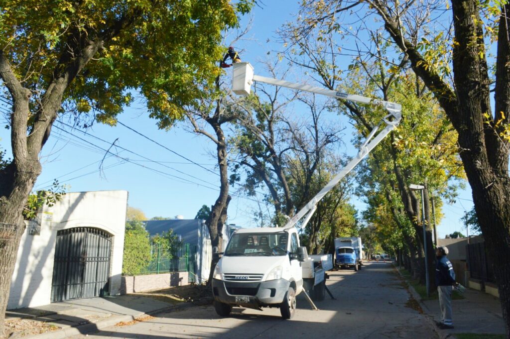 Una ciudad más limpia: el Municipio sigue interviniendo los espacios públicos con desmalezado y poda