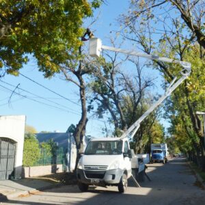 Una ciudad más limpia: el Municipio sigue interviniendo los espacios públicos con desmalezado y poda