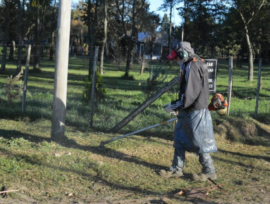Para un trabajo seguro y eficiente: el Gobierno de la ciudad capacita a operarios de motoguadañas