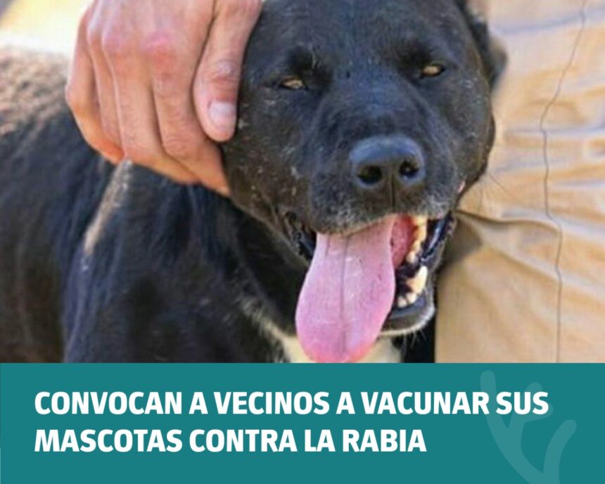 Convocan a vecinos a vacunar sus mascotas contra la Rabia