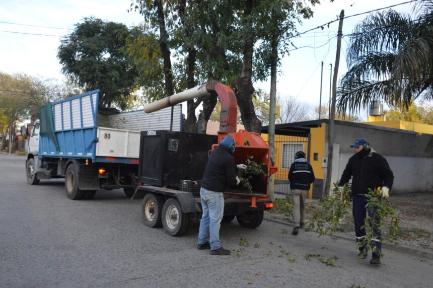 Por una ciudad más limpia: el municipio intensifica las tareas de desmalezado y limpieza en plazas y paseos públicos