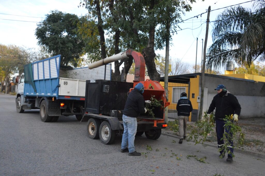 Orden e higiene en los barrios: el Municipio intensifica tareas de poda y desmalezado