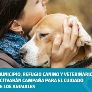 Municipio, Refugio Canino y veterinarios activarán campaña para el cuidado de los animales Municipio, Refugio Canino y veterinarios activarán campaña para el cuidado de los animales