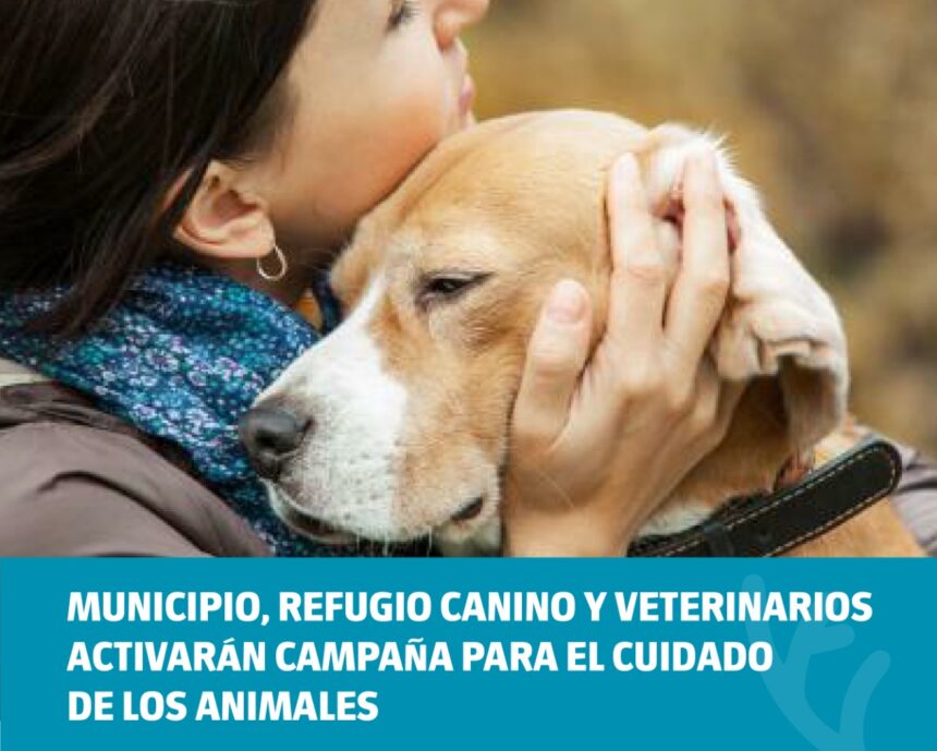 Municipio, Refugio Canino y veterinarios activarán campaña para el cuidado de los animales