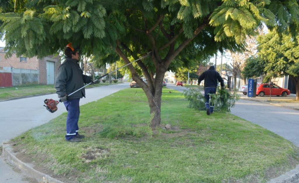 El Gobierno Municipal continúa profundizando la limpieza con desmalezado y poda en la ciudad