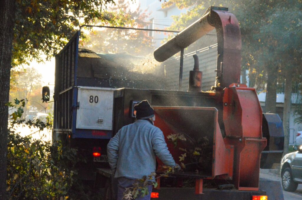 Se intensifican los trabajos de poda en distintos barrios de la ciudad