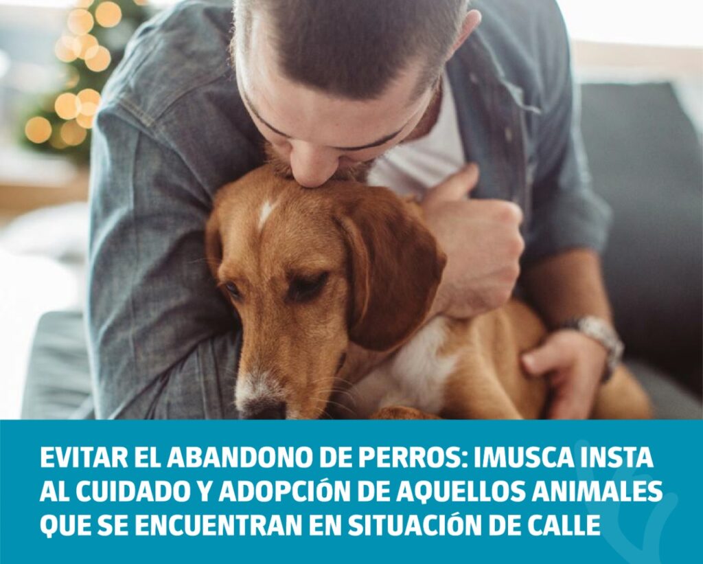 Evitar el abandono de perros: Imusca insta al cuidado y adopción de animales que se encuentran en situación de calle