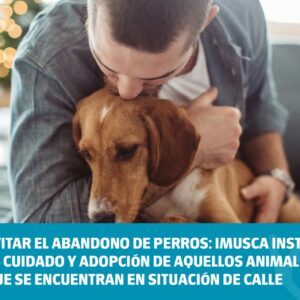 Evitar el abandono de perros: Imusca insta al cuidado y adopción de animales que se encuentran en situación de calle