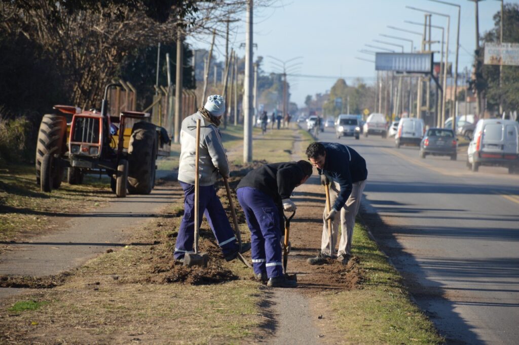 El Municipio profundiza el objetivo de limpieza, desmalezado y poda en la ciudad