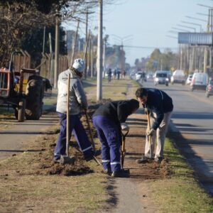 El Municipio profundiza el objetivo de limpieza, desmalezado y poda en la ciudad