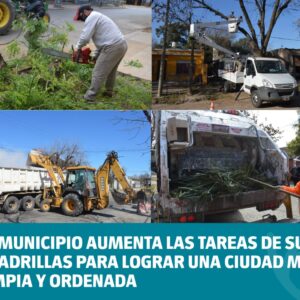 El Municipio aumenta las tareas de sus cuadrillas para lograr una ciudad más limpia y ordenada