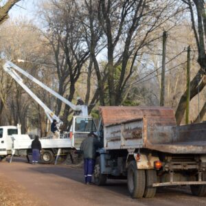 El Gobierno Municipal refuerza las tareas de limpieza, poda y desmalezado en los barrios