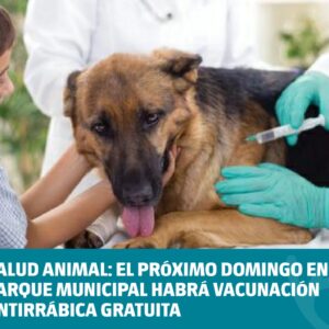Salud Animal: el próximo domingo en el Parque Municipal habrá Vacunación Antirrábica gratuita