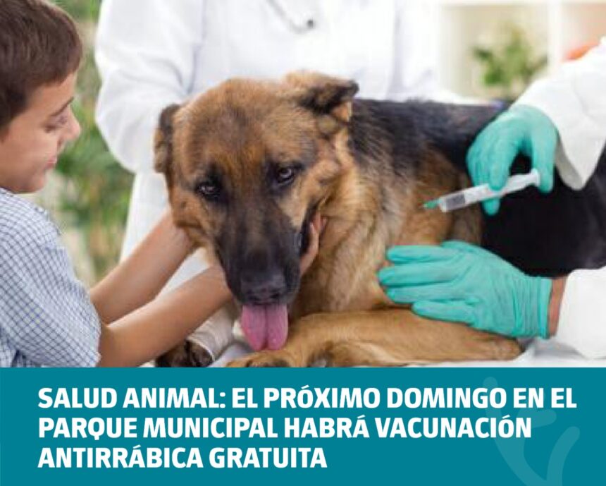 Salud Animal: el próximo domingo en el Parque Municipal habrá Vacunación Antirrábica gratuita