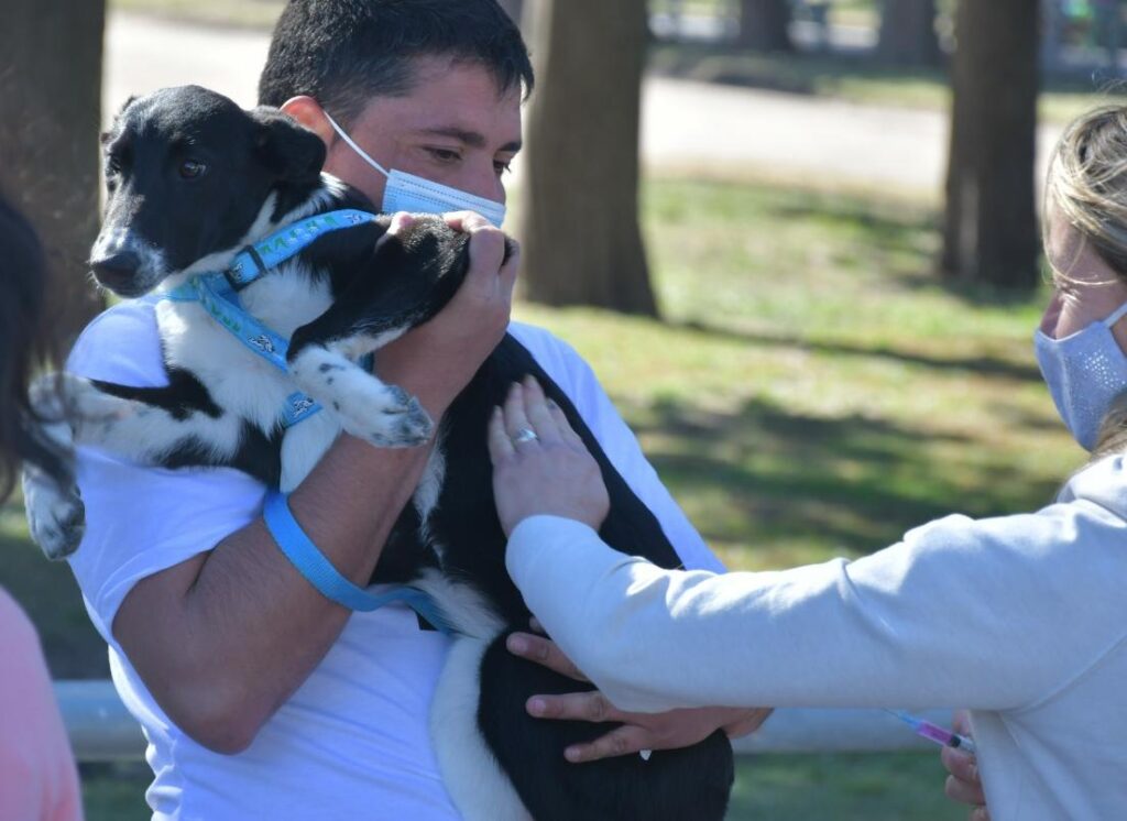 El programa “Orejas Verdes” llevó sus servicios de salud animal al barrio San Vicente
