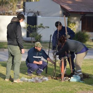 En la semana del Árbol el Gobierno Municipal multiplica las tareas de forestación en plazas del Docente y España