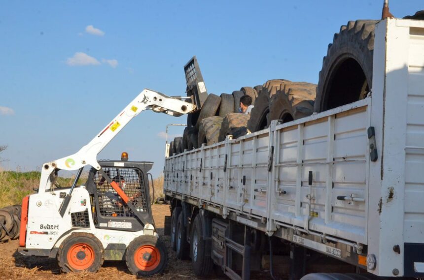La Planta Intermedia de Residuos ya recolectó más de 1.400 neumáticos fuera de uso, con destino a reciclado