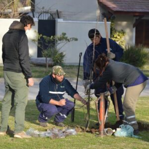 Durante el mes del Árbol el Gobierno Municipal afirmó su accionar de reforestación en plazas y espacios públicos