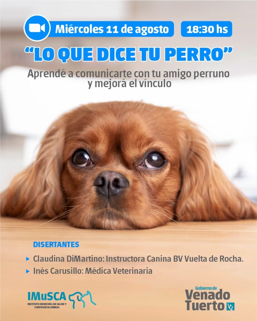 Encuentro por Zoom para conocer a nuestros animales de compañía