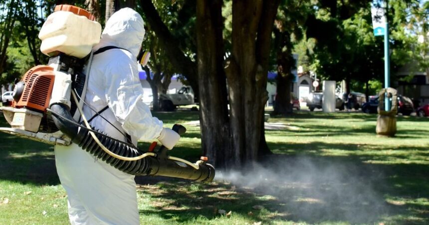 El Gobierno Municipal inicia la campaña de Control de Mosquitos y Vector del Dengue