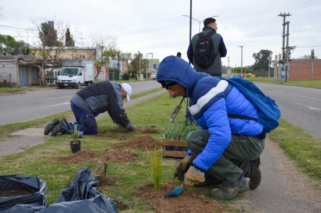 Nueva forestación en senderos perimetrales de plaza Italia