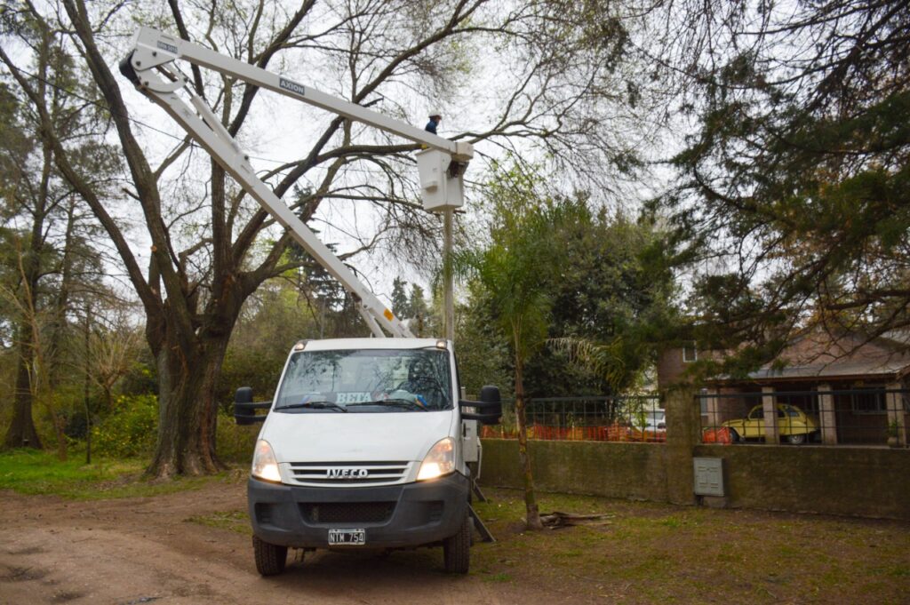 Una ciudad prolija y al servicio del vecino: las cuadrillas municipales intensifican trabajos de poda y desmalezado
