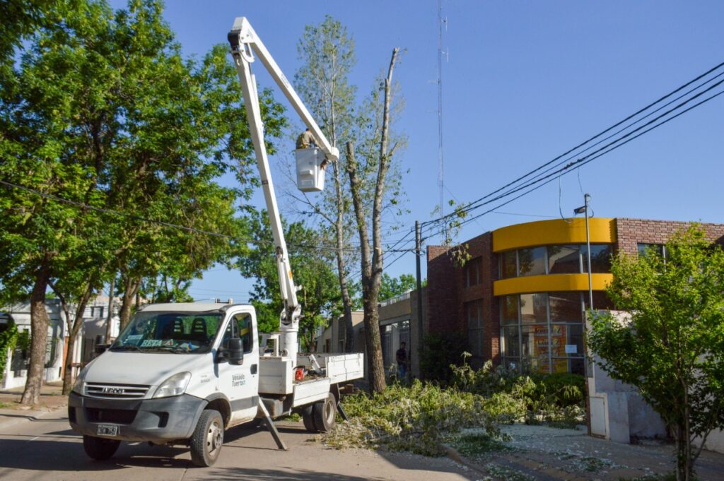 Poda y desmalezado; un servicio que optimiza el Municipio para lograr una ciudad más limpia