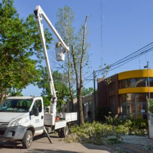 Poda y desmalezado; un servicio que optimiza el Municipio para lograr una ciudad más limpia