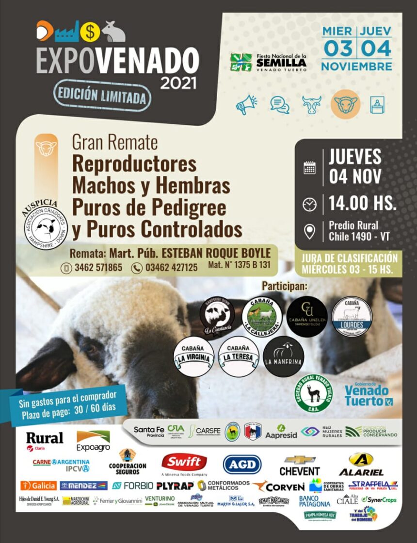 Las siete cabañas del sur de Santa Fe presentes en el remate de ovinos de ExpoVenado 2021