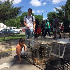Jornada de adopción de animales abandonados en el encuentro ferial “Venite al Parque”