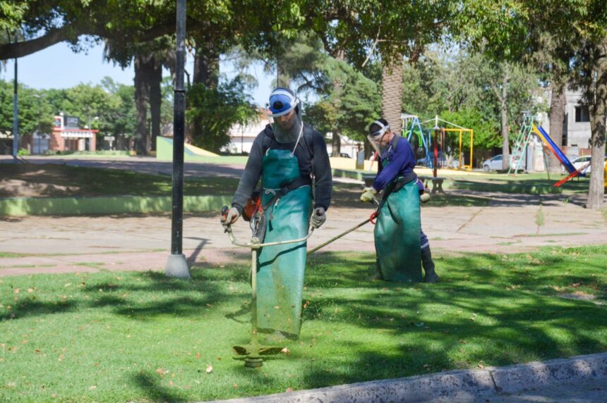 Trabajos de poda y desmalezado en espacios públicos de la ciudad