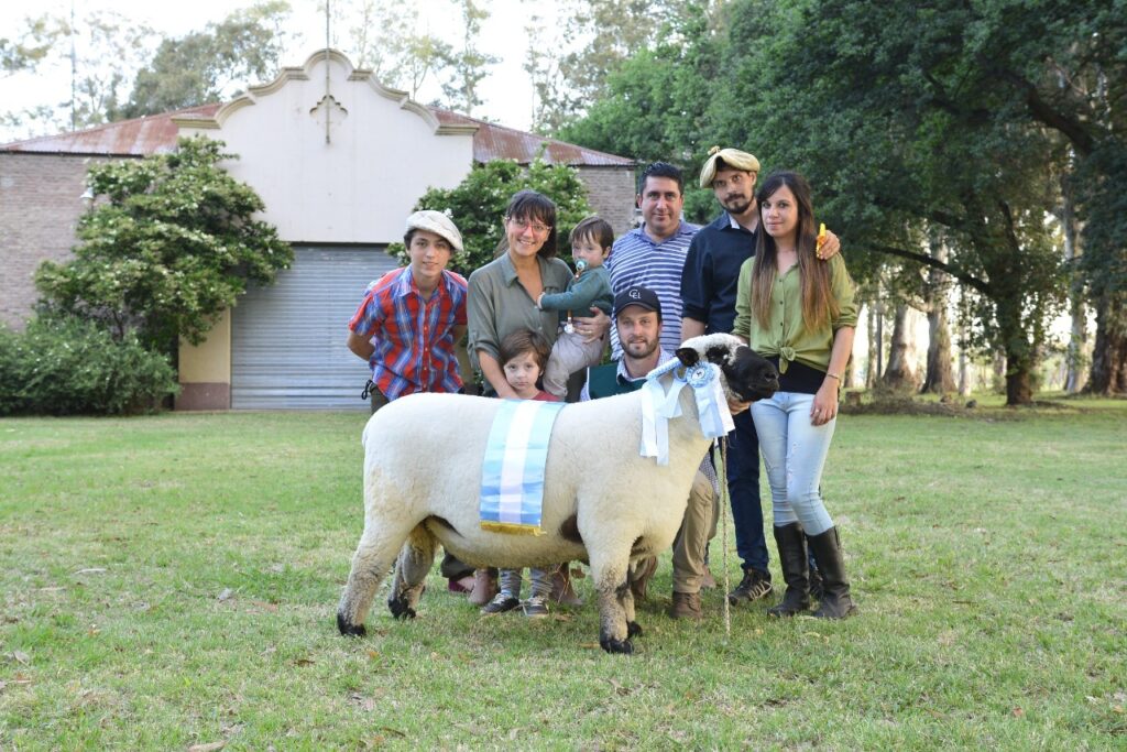 Hampshire Down y Dorper Black: los ovinos se destacan en ExpoVenado 2021