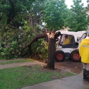 Trabajo en equipo: el Gobierno municipal, Bomberos Voluntarios y Cooperativa Eléctrica sumaron esfuerzos tras el temporal para asistir a los vecinos