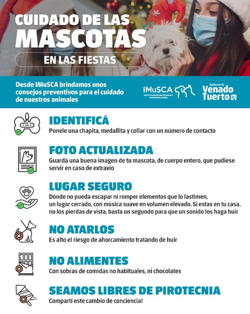 Cuidado de nuestras mascotas durante las fiestas