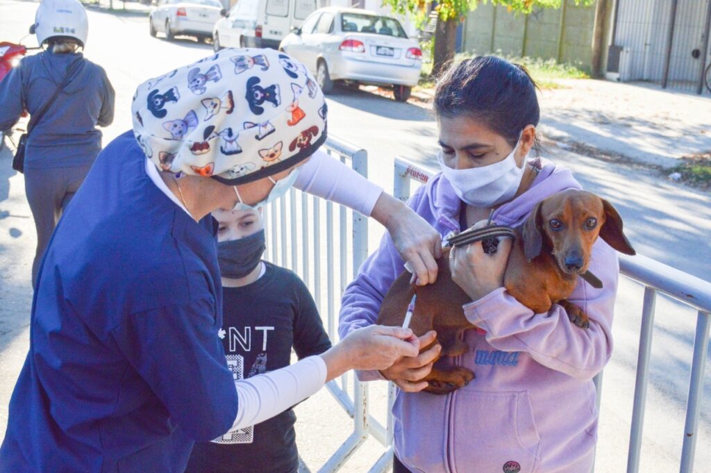 El IMUSCA alcanzará en 2021 las 6.100 dosis de Vacunas Antirrábicas aplicadas