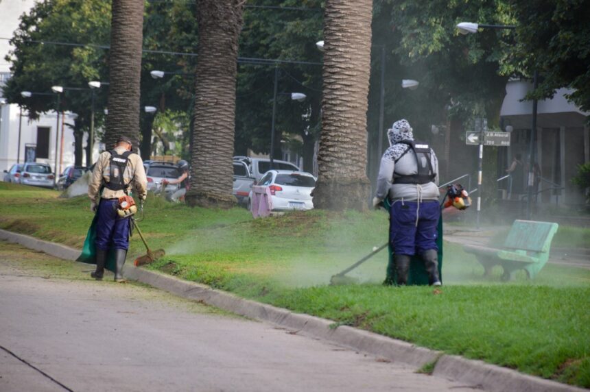 Desmalezado, poda y limpieza después de la tormenta