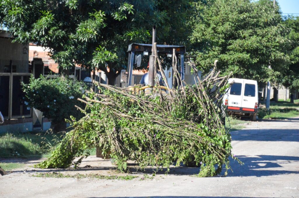 Intenso trabajo municipal de limpieza y recolección de residuos para mantener los espacios de todos en óptimas condiciones