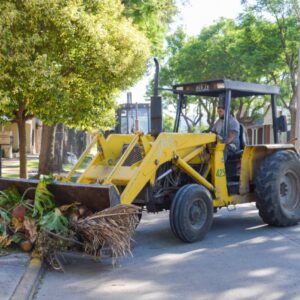 Recolección de Restos Verdes y de Obra- Domingo 6 de febrero